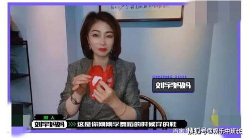 刘宇早期爆料视频播放大全,揭秘娱乐圈不为人知的一面  第2张